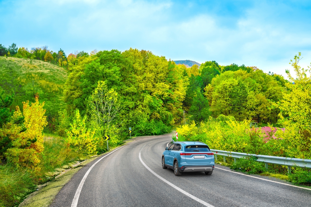 Own Car, Professional Driver: A Convenient Travel Option in Tirunelveli