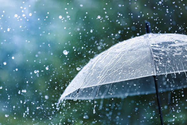 Rainy Season Driving Tips in Tirunelveli – Choose Safe Driving with NELLAIKING Acting Drivers